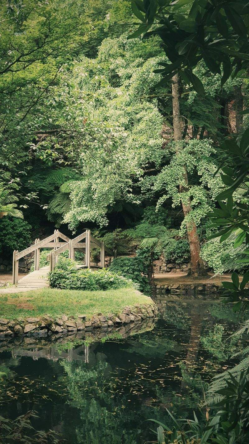 Cómo preparar tu jardín para la primavera