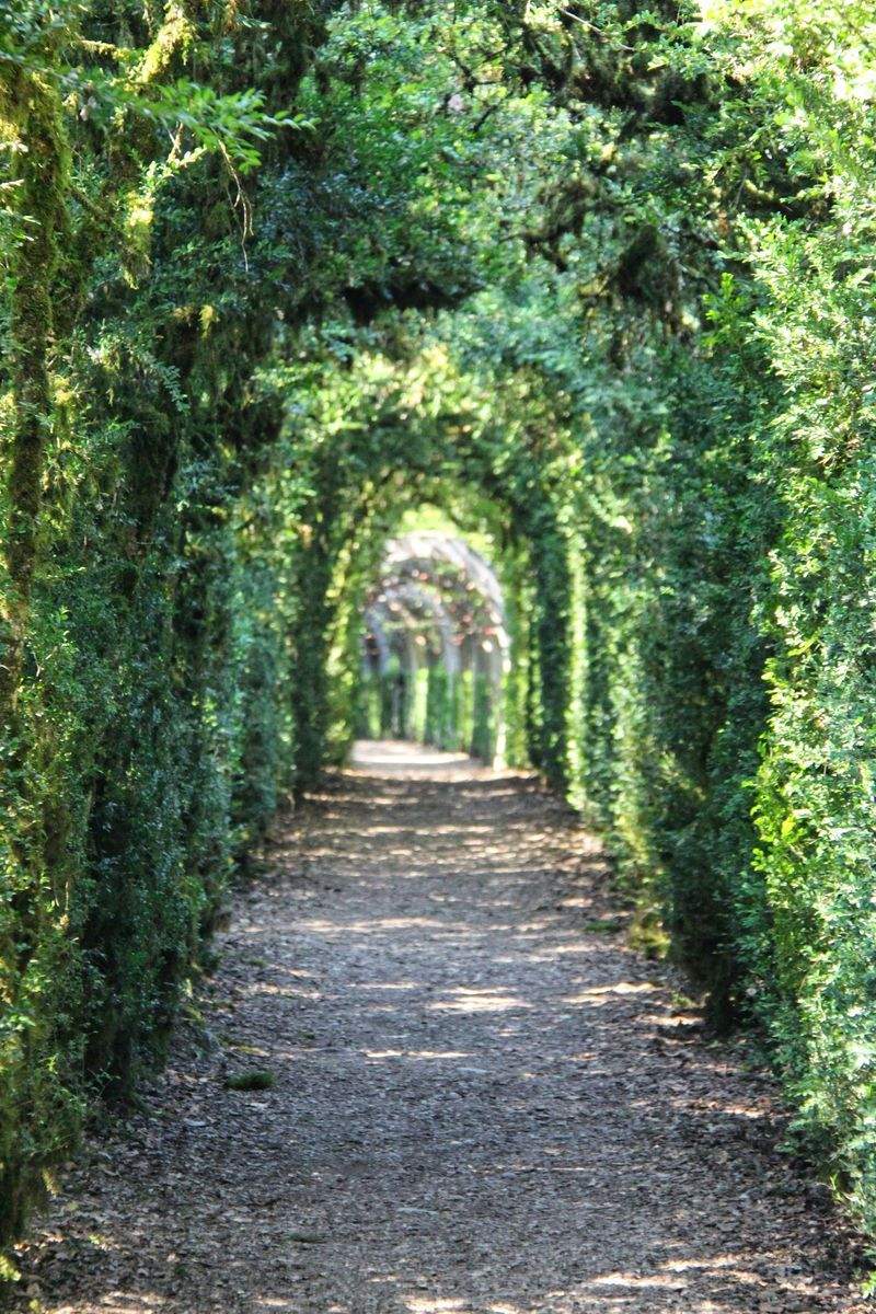 VerdeVivo Jardinería y Paisajismo 9