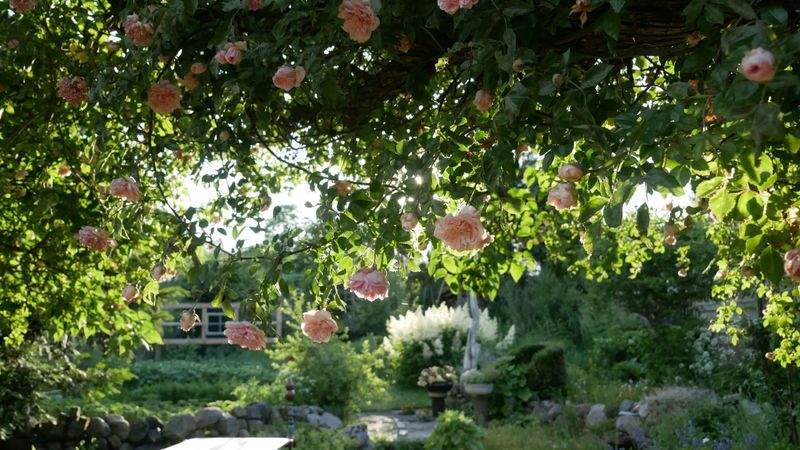 VerdeVivo Jardinería y Paisajismo
