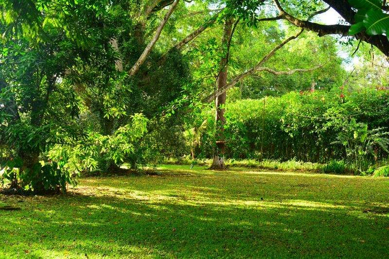 Mantenimiento de jardines