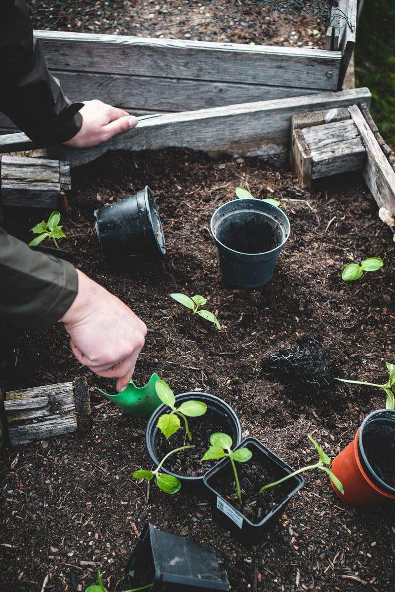 Control de plagas y enfermedades vegetales